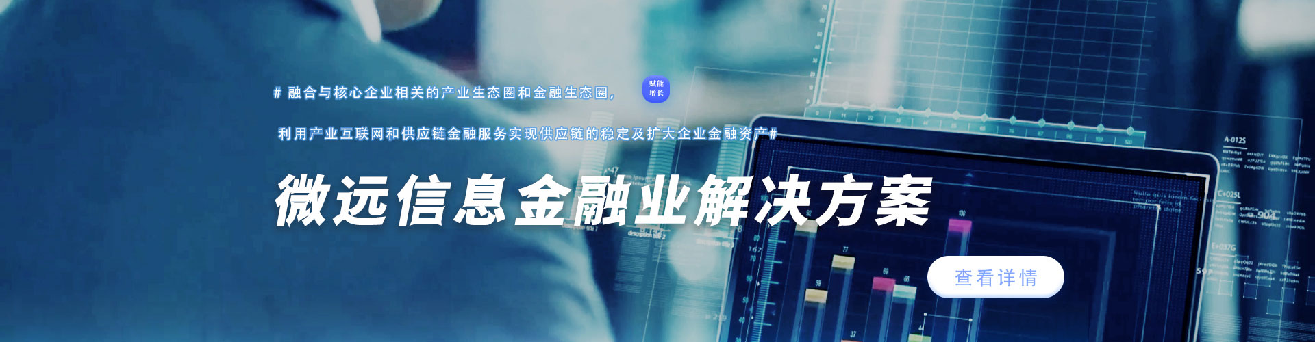 微远信息|IT技术的综合解决方案提供商